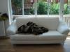 Ein wunderschönes,  exklusives3-er Sofa in weiß
