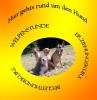 Hundeschule-Dogcoaching-Pension,  hier gehts rund um den Hund