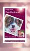 Buchempfehlung: Welpe Hund Erziehung