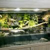 Aqua-Terrarium /  Paludarium z.B: für Krokodilschwanzechsen