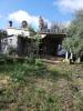 Italien,  Sardinien,  Weinberg,  Land,  3 Ha,  Existenz,  Baugenehmigung