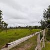 Brasilien riesengrosse 1'067 Ha Farm Region Rorainopolis - Roraima