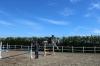 Kinderreitferien & Reiten für Erwachsene