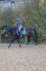Reitbeteiligung gesucht