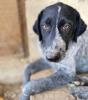 Gina sucht ein passendes Zuhause