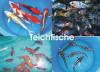 Teichfische - Koi - Biotopfische - Krebse - Muscheln uvm. /  Fischfarm Eske