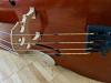 Cello mit Fall,  ca. 100 Jahre alt
