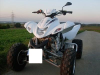 Dinli Superquad 450 Trasher mit 54 PS