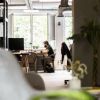BASE Co-Working: A new home for your Start-Up