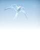 Call Center Agents Outbound  im Home Office gesucht