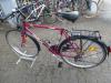 (194) 21 Gang 28 Zoll Rh 53 WHEELER