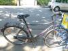 (177) 7 Gang 28 Zoll Herrenrad