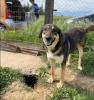 jenny sucht ein passendes ZUhause