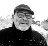 Teddybaer sucht Dich ( W )