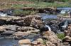Rundreise Südafrika,  Themenschwerpunkt: Wandern,  Mietwagenrundreise,  individuell