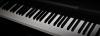 KEYBOARDER SUCHT BAND