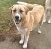 Leni sucht ein passendes Zuhause