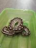 2 Köpy (Mojave)1.1 Inkl. Terrarium und zubehör