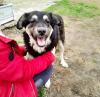 Milow - notfellchen sucht passendes Zuhause