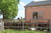 Stallhelfer/  -in,  Pferdewirt-in,  Tierpfleger/  -in,  Landwirt/  -in