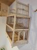 Vogelfalle,  Vogelkäfig,  Zuchtbox für Stieglitz,  Kanarien Gimpel