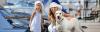 Flussreisen mit Hund