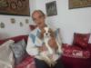 wunderschönes Cavalier-King-Charles-Spaniel-Mädchen,  3 Jahre,  Farbe: blenheim 