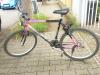 (183) 21 Gang GIANT 26 Zoll RH 54