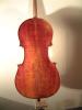 kleines 5-saitiges Cello fuer Barockmusik