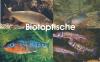 Biotopfische - Koi - Teichfische - Muscheln - Krebse uvm. /  Fischfarm Eske