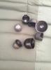 Airity 16, 5 Daiwa