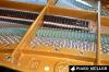 C. Bechstein Modell K-155,  L-168,  M-180,  Studio 189,  Akademie 175