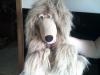 Bauchrednerpuppe /  Wuffi