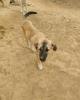 Momo sucht ein passendes Zuhause