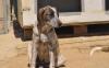 Colette sucht ein passendes Zuhause