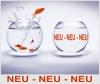 Online Job,  Fitness- und Ernährungsberater/ in gesucht,  selbstständig von zu  Hau