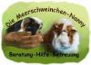 Meerschweinchen-Nanny,  private Notstation,  Meerschweinchen-Hilfe