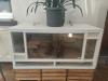 Bartagame mit Terrarium und viel Zubehör