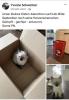 Ragdoll-Mix-Katerchen sucht noch seine Herzensmenschen