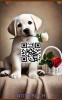 Labrador Mama Notizbuch,  Buch: Das perfekte Geschenk für Hunde Liebhaber & Fans, 