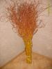 Weide (Salix Golden Curls)