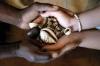 True Spell Casting Services,  Top Spell Casters +27717045485