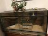3 Boa constrictor & Terrarien 