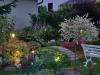 Informationsportal zum Thema Blumen,  Garten und Pflanzenschutz - inkl. Shopvergl