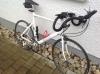 Sport- Rennrad
