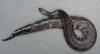 Suche 0.1 Blutpython