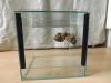 20- 25 Terrarien Abzugeben