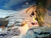2 Leopardgeckos (weiblich) inklusive Terrarium