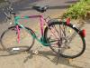 (164) 21 Gang DAWES 28 Zoll RH 58 Rahmen Cr-Mo