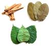 Versch. Naturfutter /  Laub als Futter für Garnelen,  Krebse Apfelschnecken,  Welse